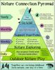 Nature Connection Pyramid