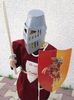Les Aventures de Princesse Puce et Chevalier Titou -n°1