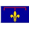Blason de la Famille d'Anjou