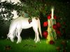 Horoscope celtique du 10 octobre au 16 octobre 2016