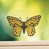 LE PAPILLON TUEUR DE MOUCHES