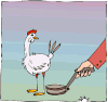 Omelette indienne