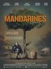 Bobine du mardi 31 mai, 20 h 15 : Mandarines.