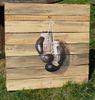 Tableau gants de boxe vintage sur palette