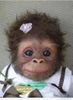Monkey see, monkey do