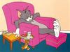 Le chat...