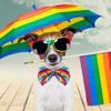 Dogfriend...
