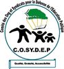 LA COSYDEP ’’RASSURÉE’’ PAR LE DISCOURS DU CHEF DE L’ETAT