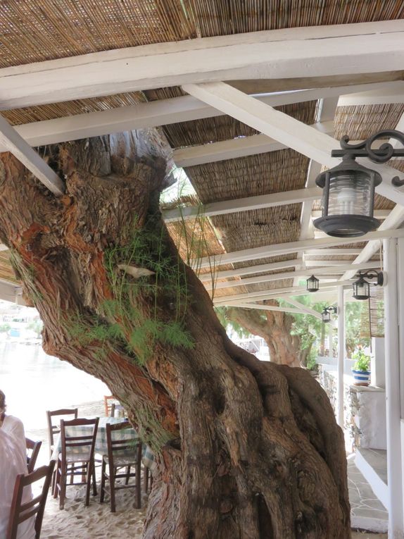 rencontres de tamaris