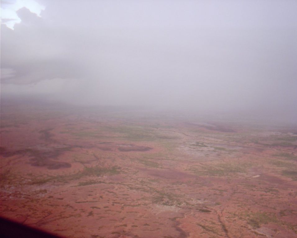 Niger puis Cameroun (depuis la cabine de pilotage) : vegetation aride puis luxuriante