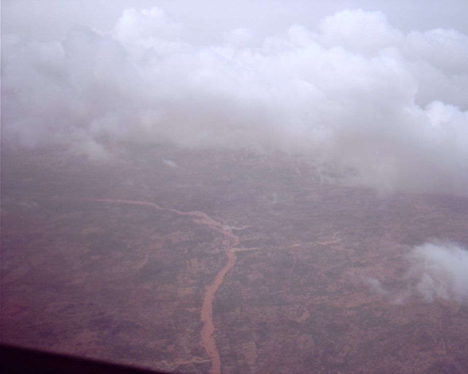 Niger puis Cameroun (depuis la cabine de pilotage) : vegetation aride puis luxuriante