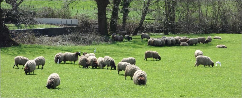 Randonnée au Pays Basque en fonction de la difficulté