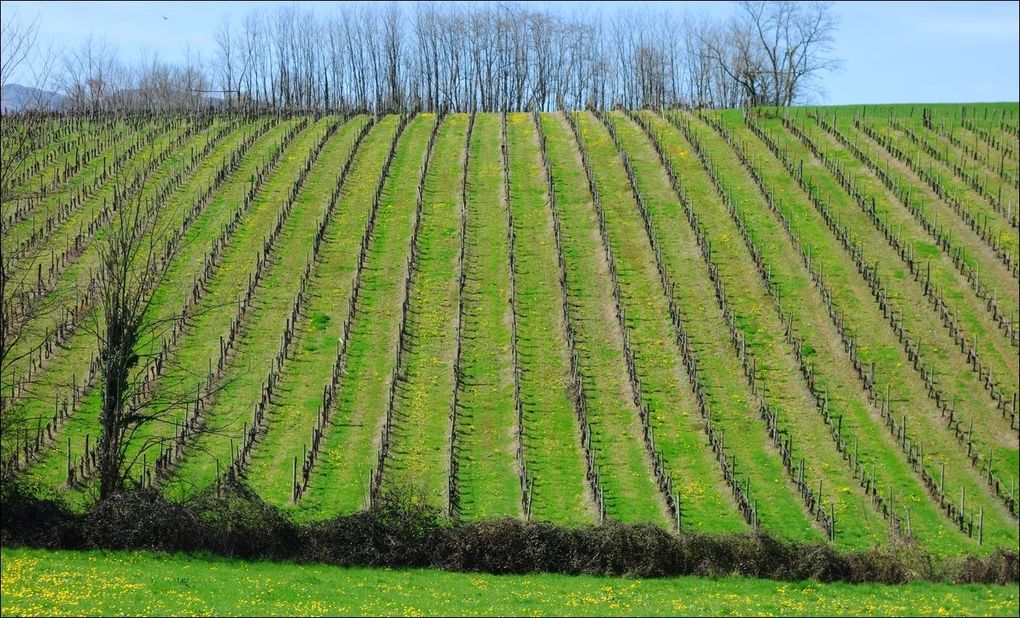 Randonnée au Pays Basque en fonction de la difficulté