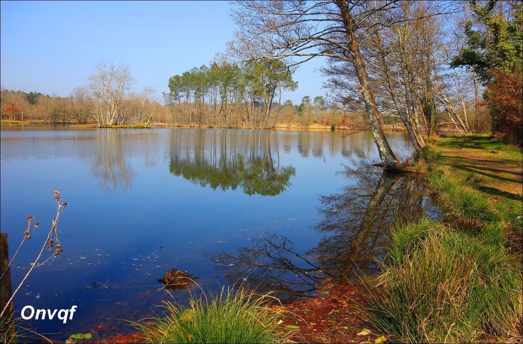 Lacs et étangs des Landes