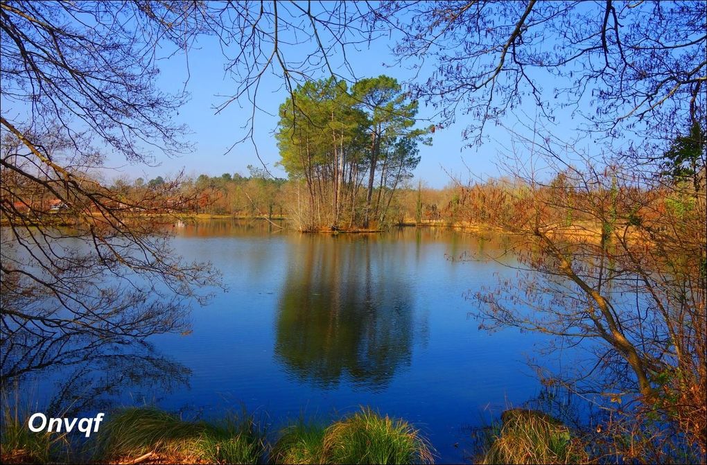 Lacs et étangs des Landes