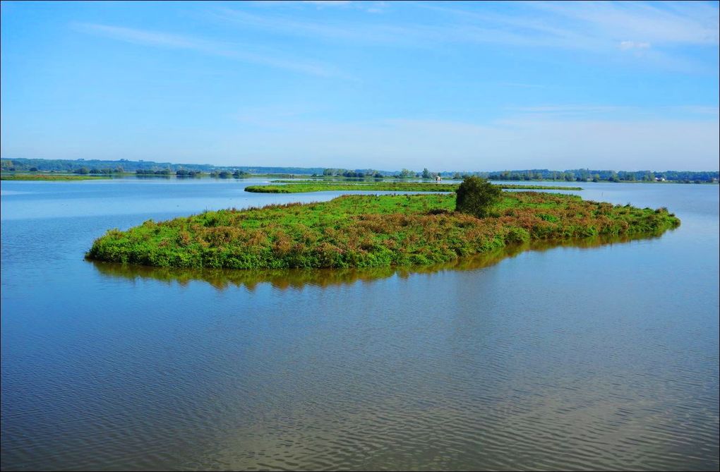 Lacs et étangs des Landes