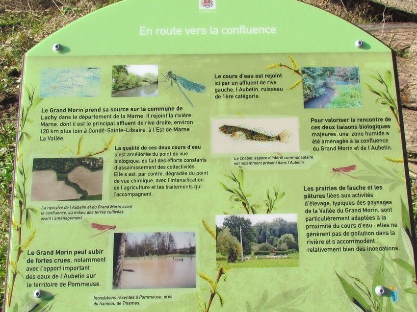 rencontre pommeuse