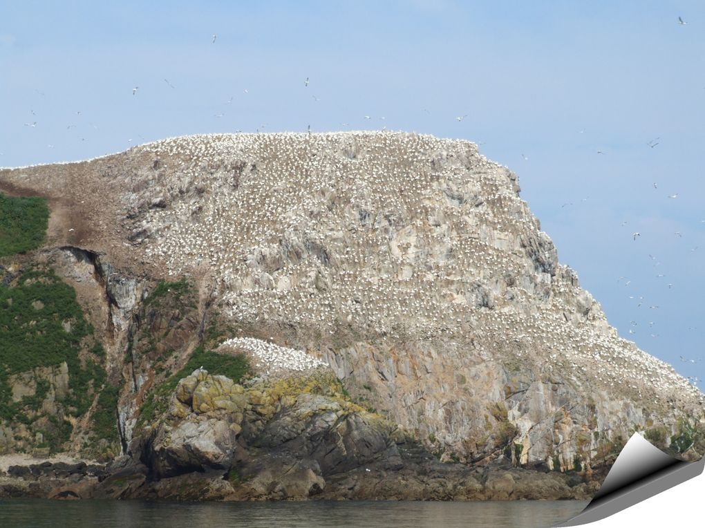 site de rencontre sept iles