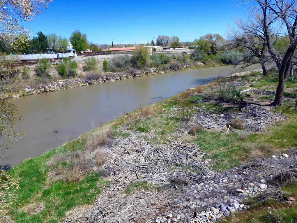 Animas river (au niveau de Aztec et Durango) et Cement creek en avril 2016
