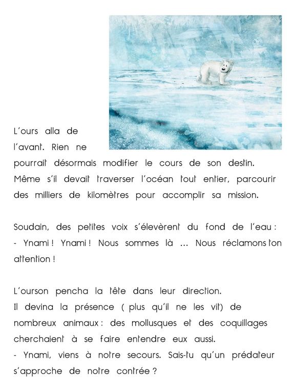faire quand rencontre ours