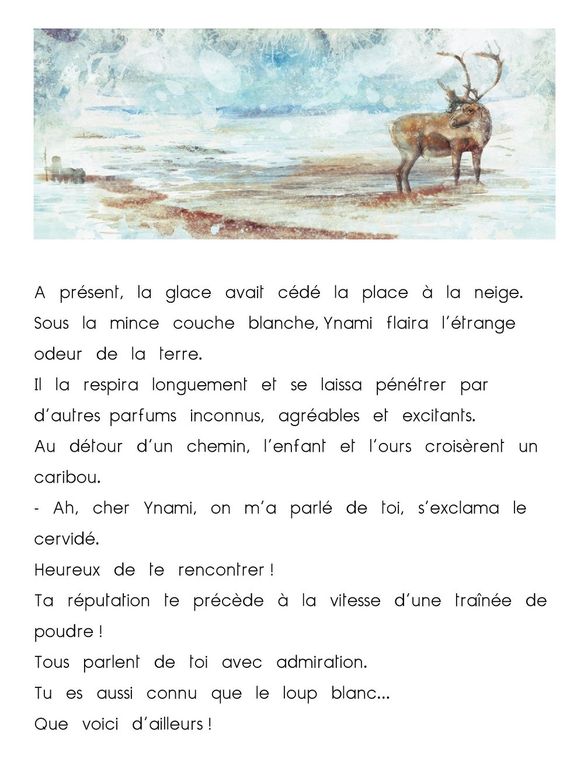 rencontre avec un ours que faire