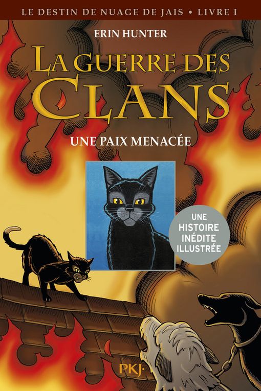 La Guerre Des Clans Site Officiel 1 - La Guerre des Clans (Warrior Cats ou Warriors) de Erin Hunter - La