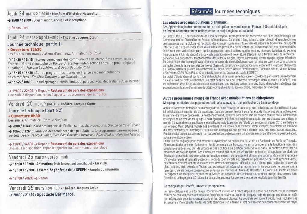 Rencontres chiropteres bourges 2016