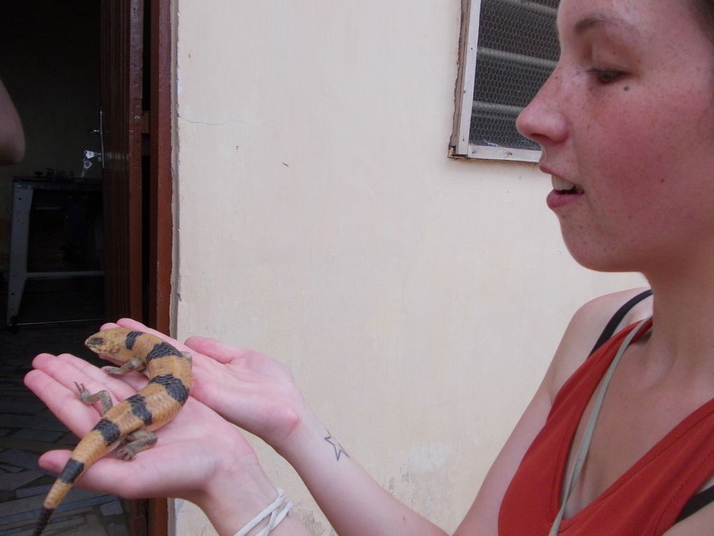 passion site de rencontre
