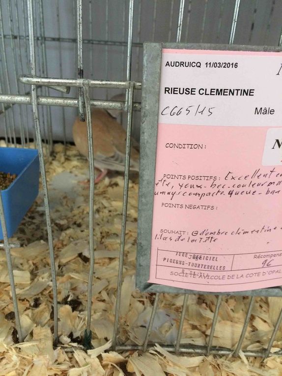 site de rencontre monde agricole