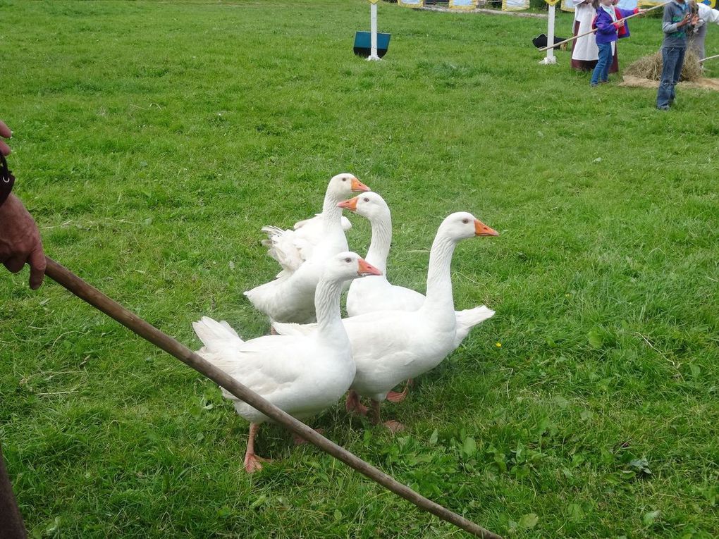 Z-Les G.S à la ferme des chevaux de trait 2015