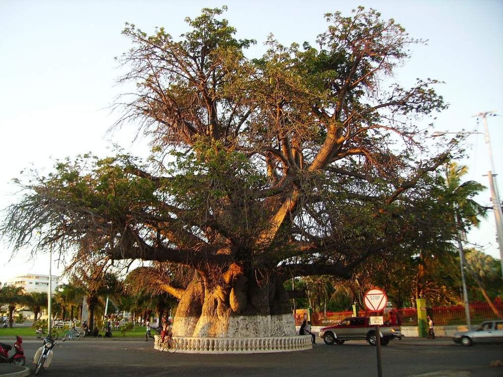 Mahajanga association de chauffeurs guides madagascar Look Gasy