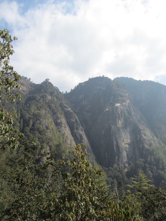 les plus jolies rencontres