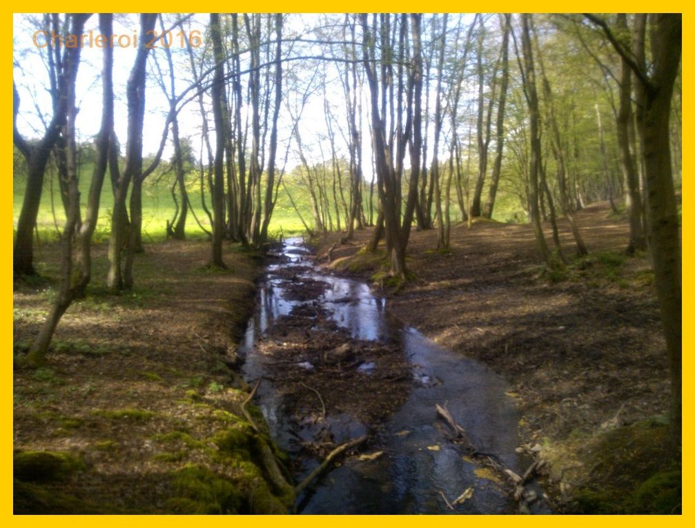 Rencontres charleroi