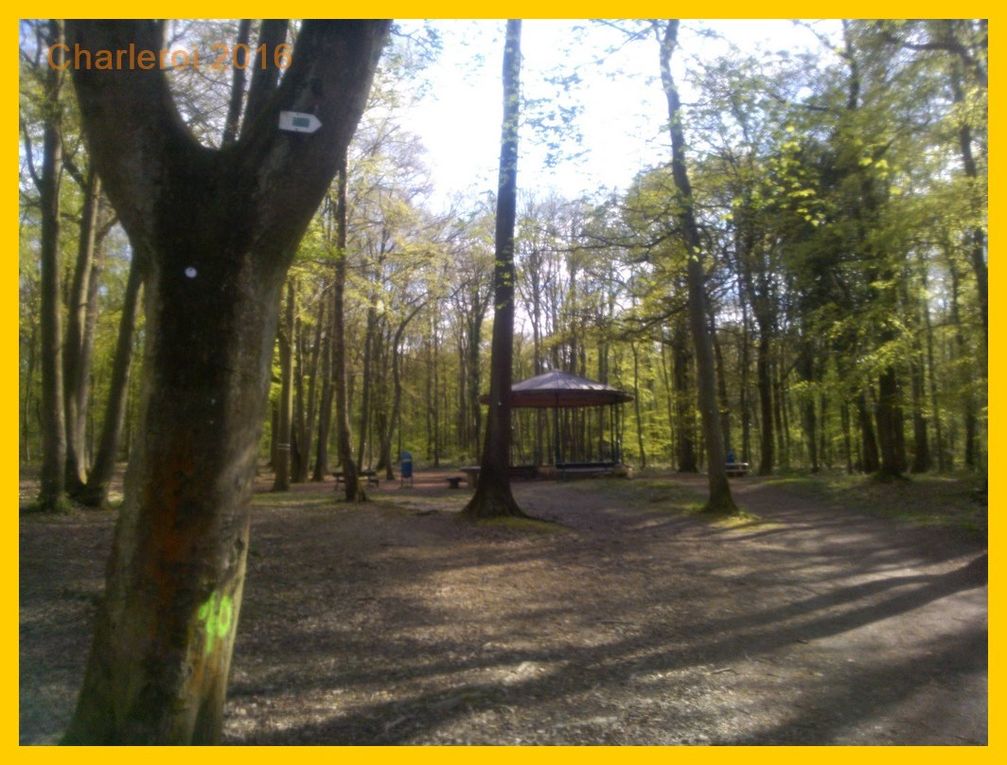 Rencontres charleroi