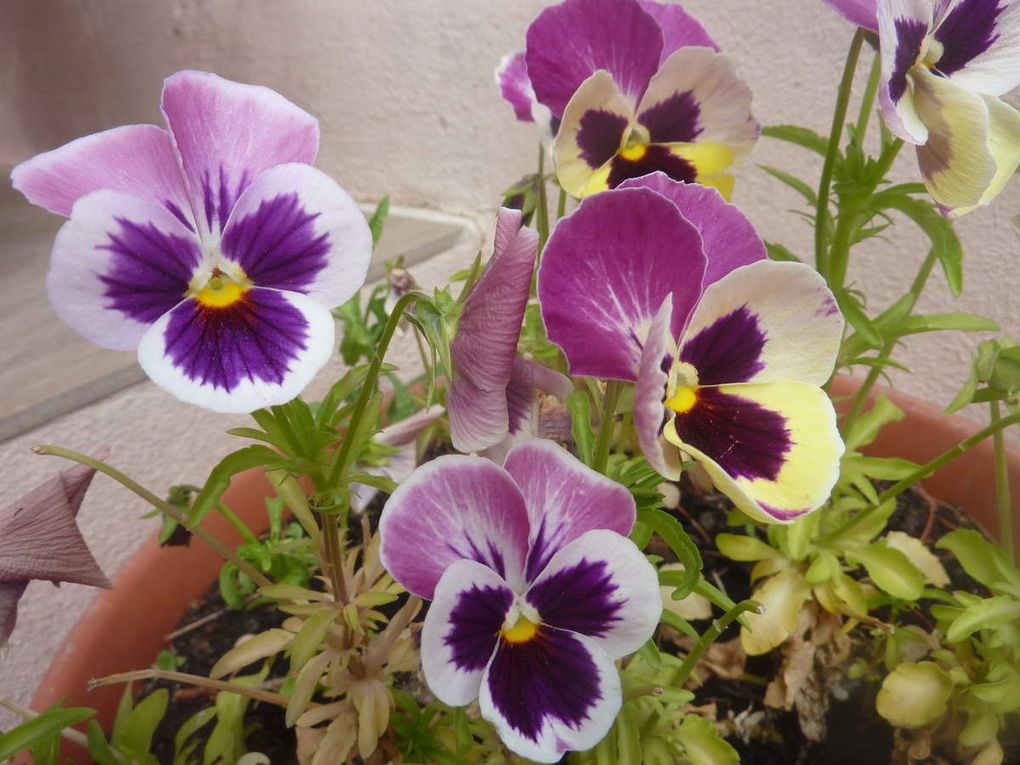 adresse mail pour rencontre