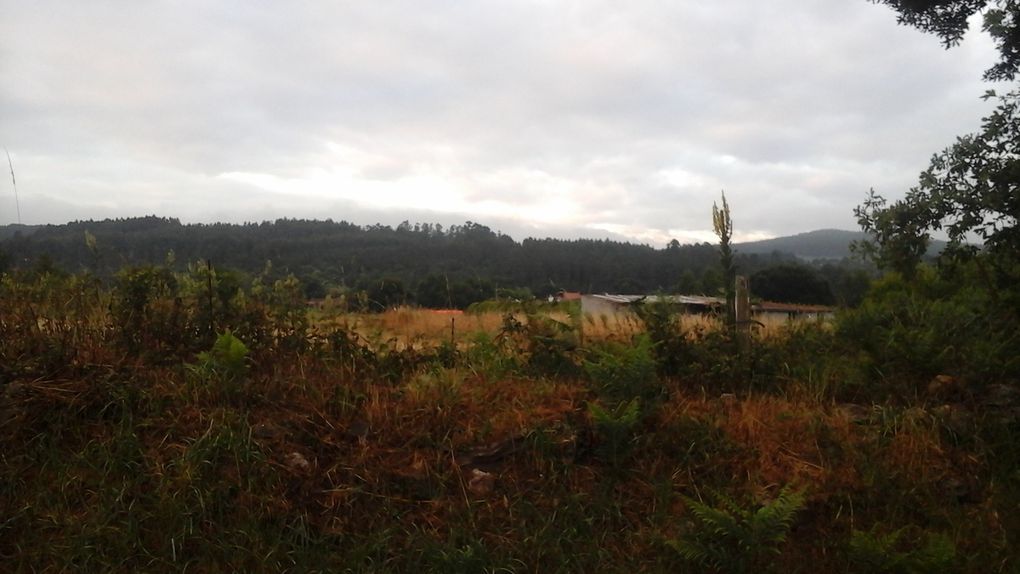 rencontres sur les chemins du lait