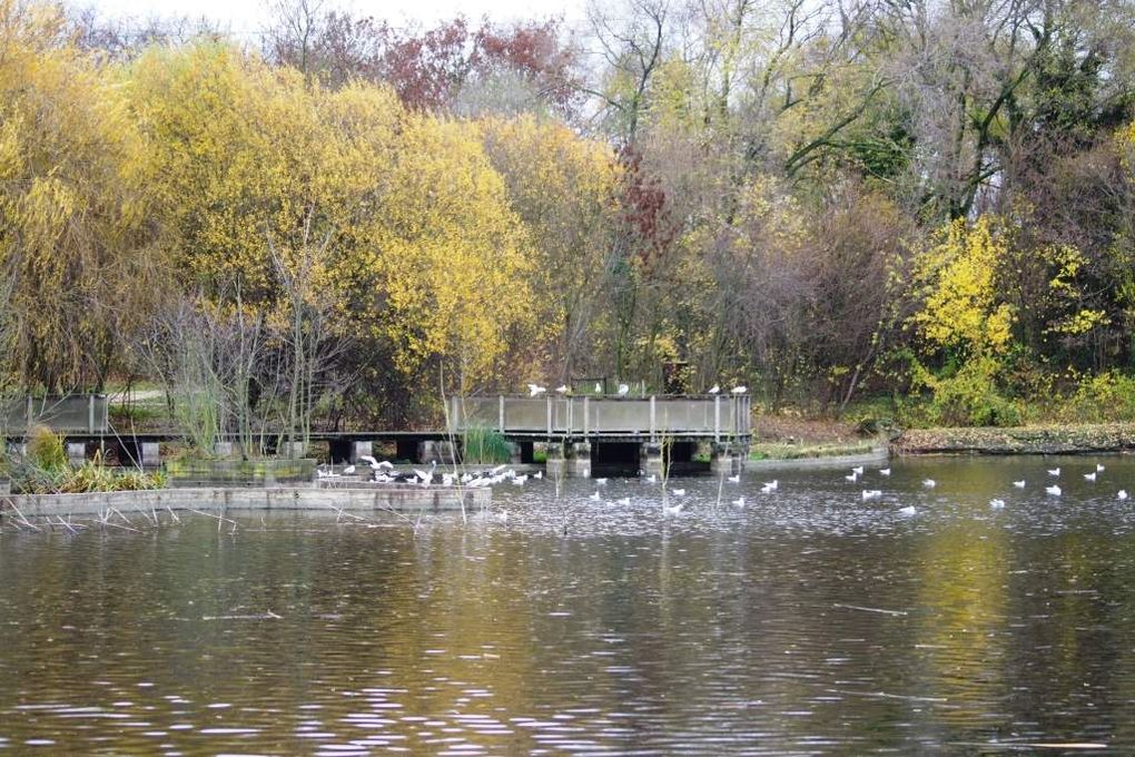 Parc Départemental De L île Saint Denis Le parc des Chanteraines et l'Ile Saint-Denis - Les Randonneurs Ovillois