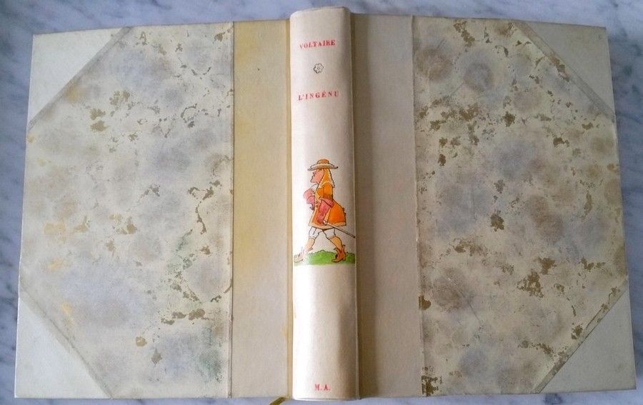 Dissertation le taureau blanc voltaire