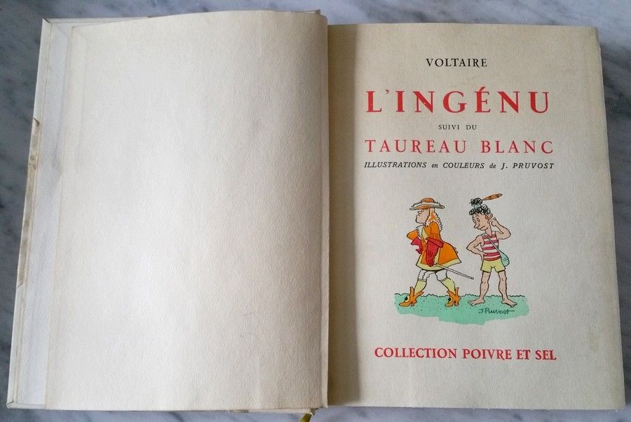 Dissertation le taureau blanc voltaire