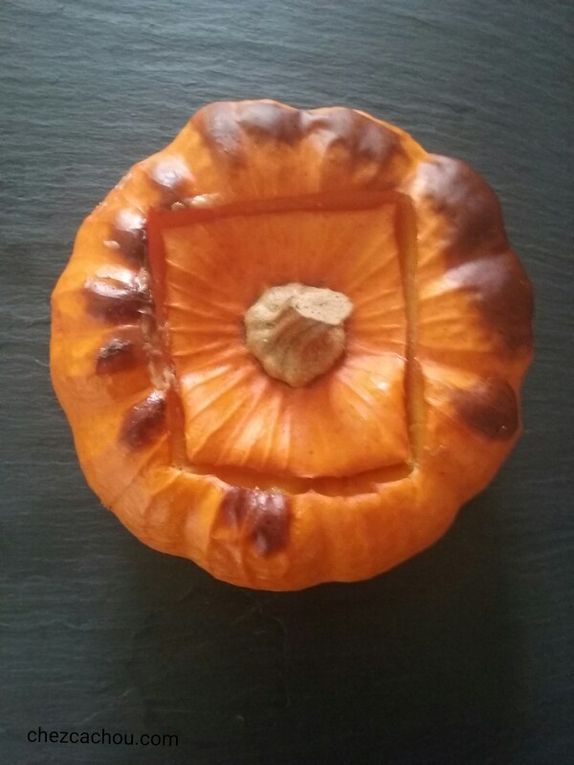 40+ Courge Jack Be Little Farcie Gif