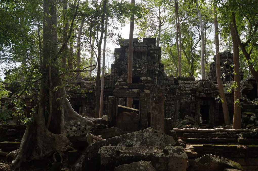 Stage Cambodge [6] : Angkor et toujours !