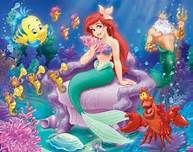 rencontre avec une sirene