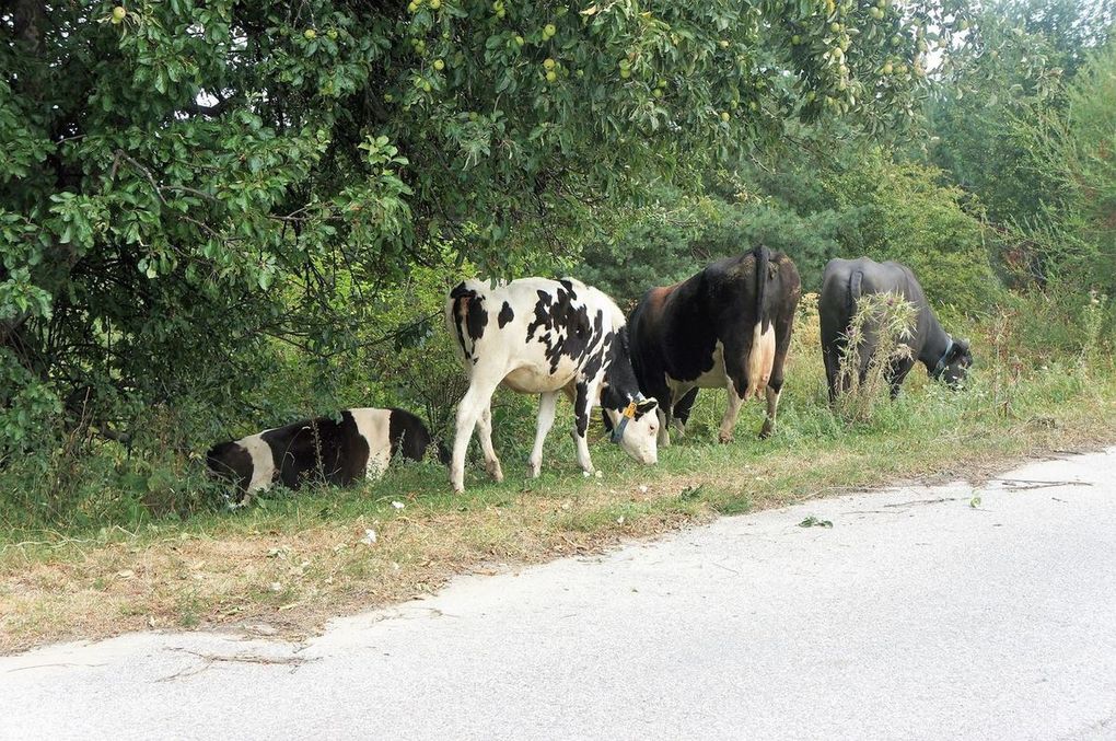 Sur la route du tour du lac