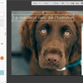 6 outils en ligne pour bloguer au quotidien