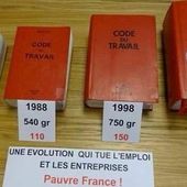 Hollande, le social-libéralisme, la Carpe et le Lapin