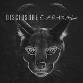 Album a venir: CARACAL de Disclosure. - lesmusicultesdekevin.overblog.com