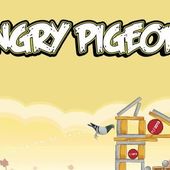 Pigeons entrepreneurs : au-delà de la politique, une certaine vision du monde de demain
