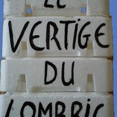 Spectacle " Le Vertige du Lombric"