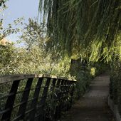Viens, je t'emmène... - La Seine, la Seine, la Seine..... La Seine... et Moi