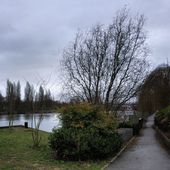 Un bout de la Ceinture Verte... mais quand il fait gris..